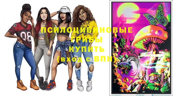 сатива Белоозёрский