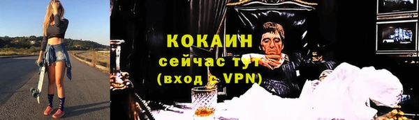 гашик Белокуриха