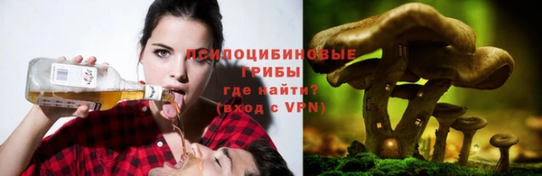 гашик Белокуриха