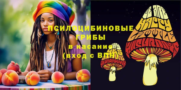 гашик Белокуриха