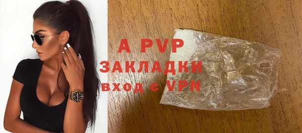 гашик Белокуриха