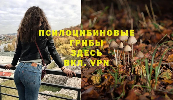 сатива Белоозёрский